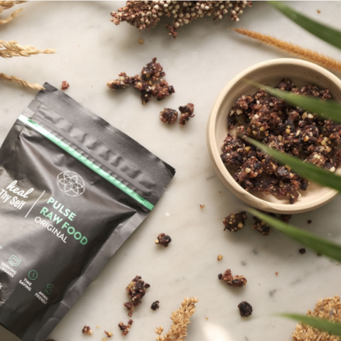 Heal Thy Self RAW FOOD (Snack Pack)