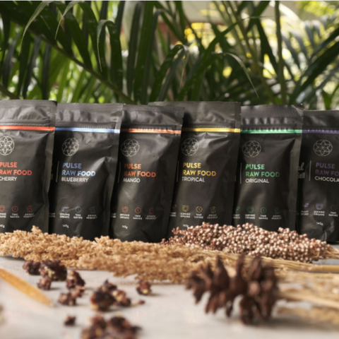 Heal Thy Self RAW FOOD (Snack Pack)